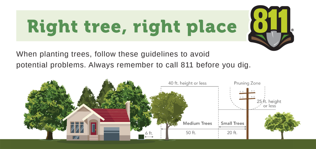 Right Tree Right Place